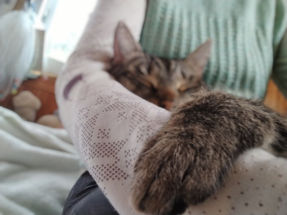 Photograph by Елена Малкова