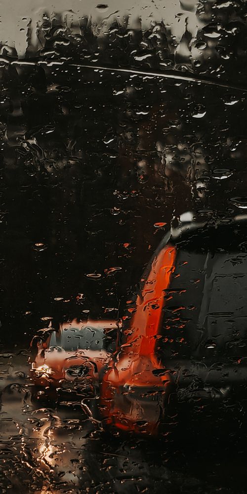 Photograph by Елена Ментюк