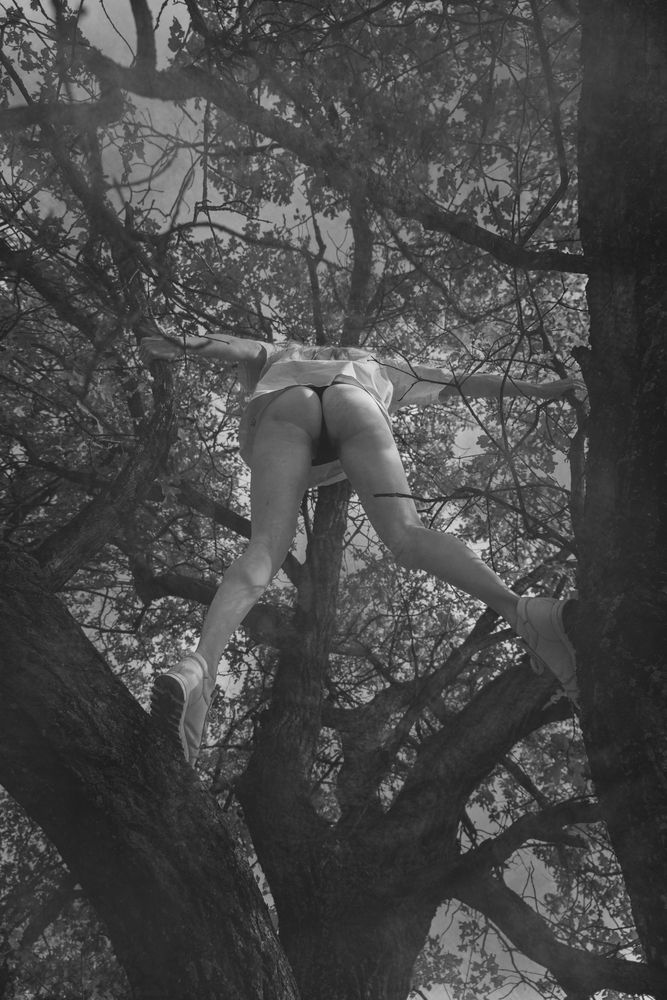 Фотография автора Александров Алексей