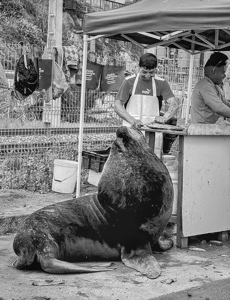 Photograph by Юлия Порфирьева