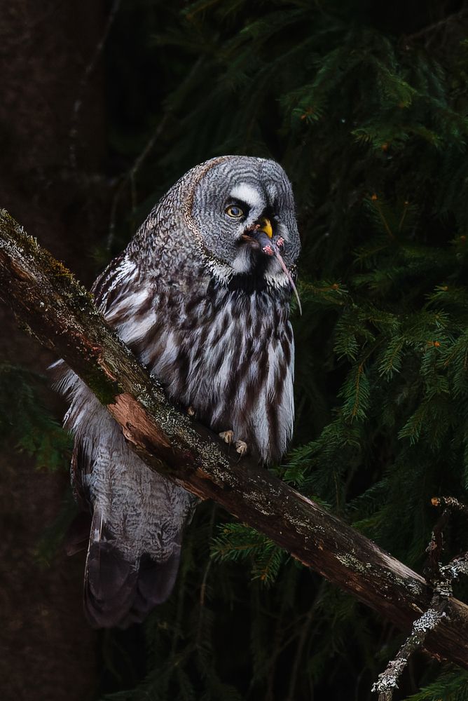 Photograph by Сергей Немцев