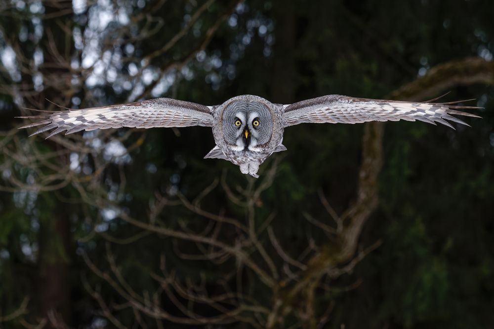 Photograph by Сергей Немцев