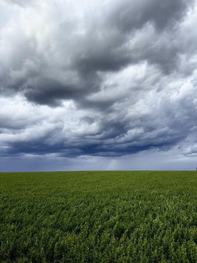 Photograph by Екатерина Волчкова