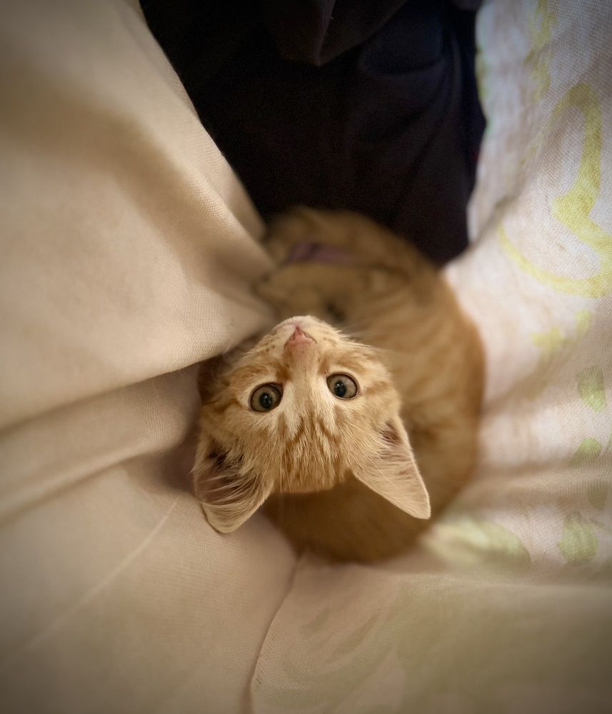 Photograph by Екатерина Волчкова