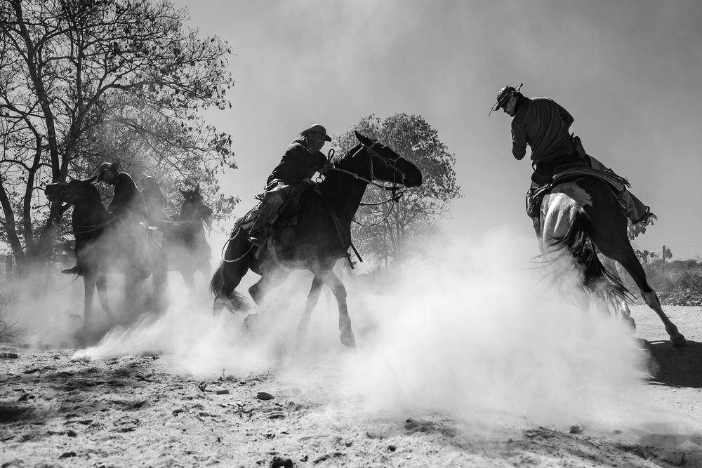Photograph by FLAVIO SOUZA CRUZ