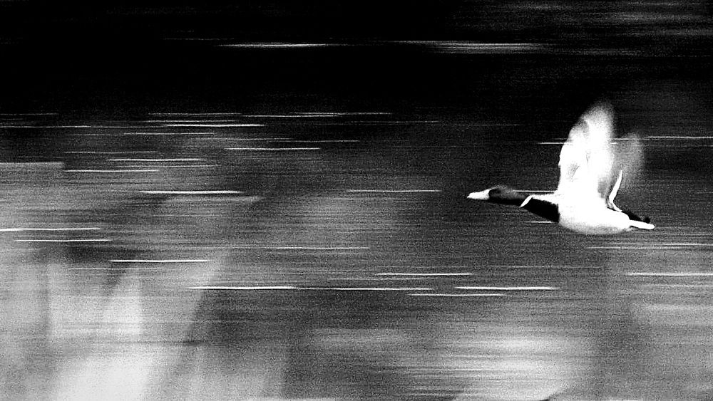 Photograph by Егор Чинарев