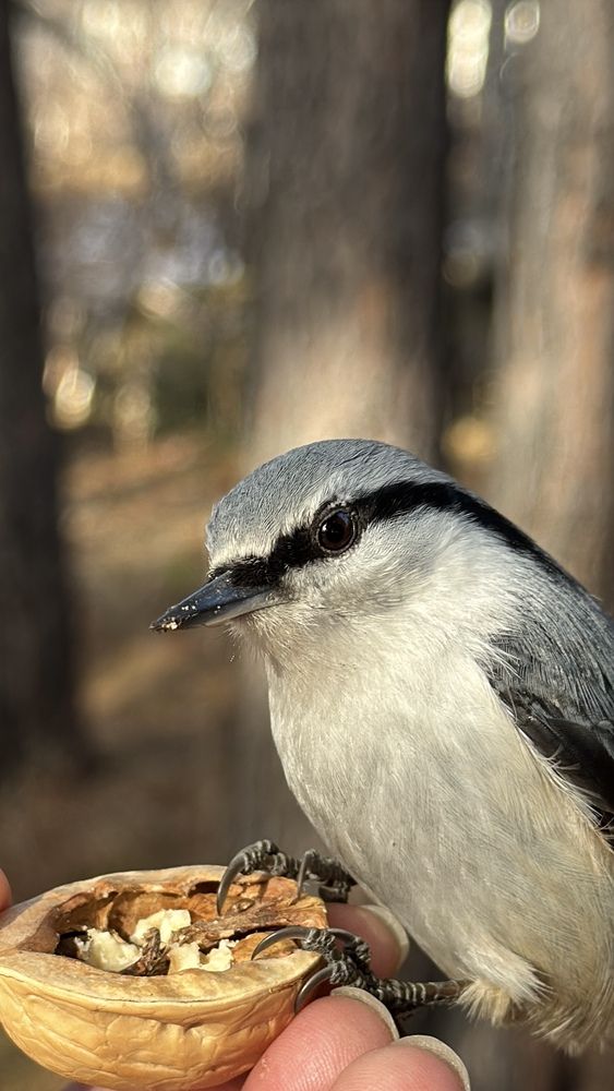 Photograph by Марина Мишутина