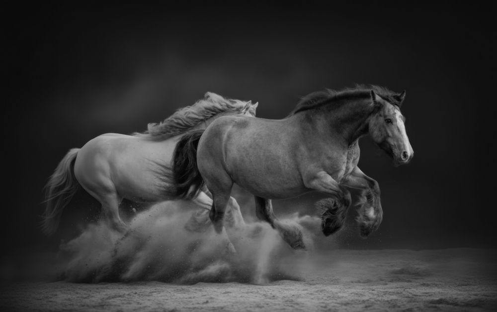 Photograph by Онучина Юлия