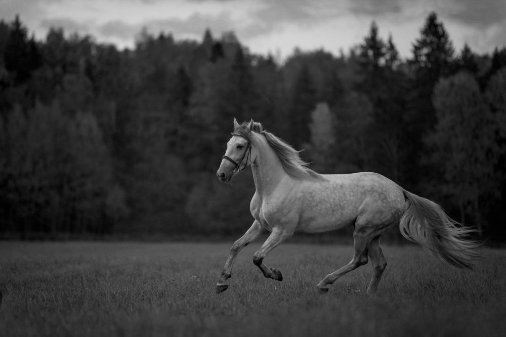 Фотография автора Онучина Юлия