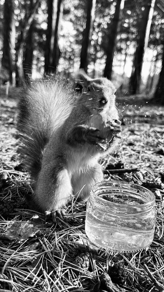 Photograph by Марина Мишутина