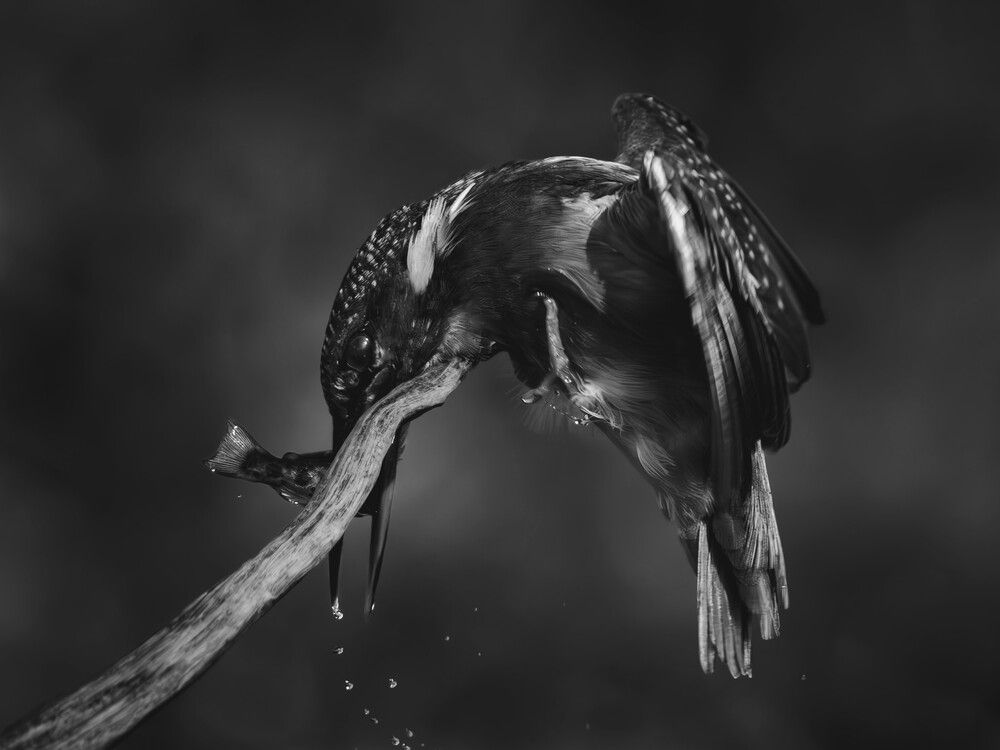 Фотография автора Daniela Retzer