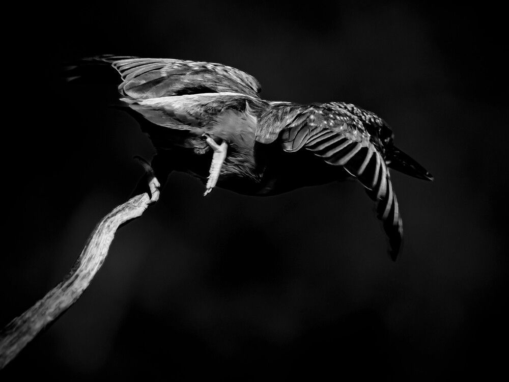 Фотография автора Daniela Retzer