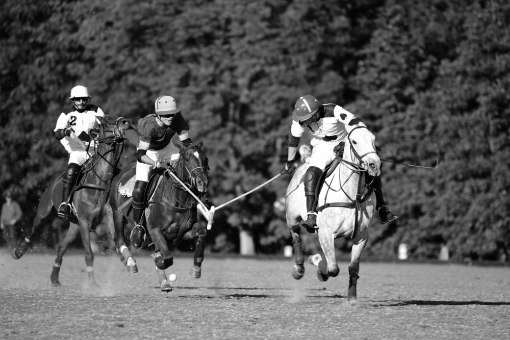 Фотография автора Camilo Martinez