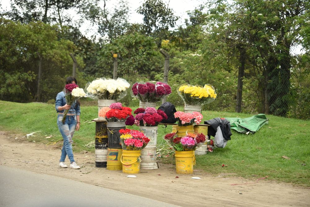 Фотография автора Camilo Martinez