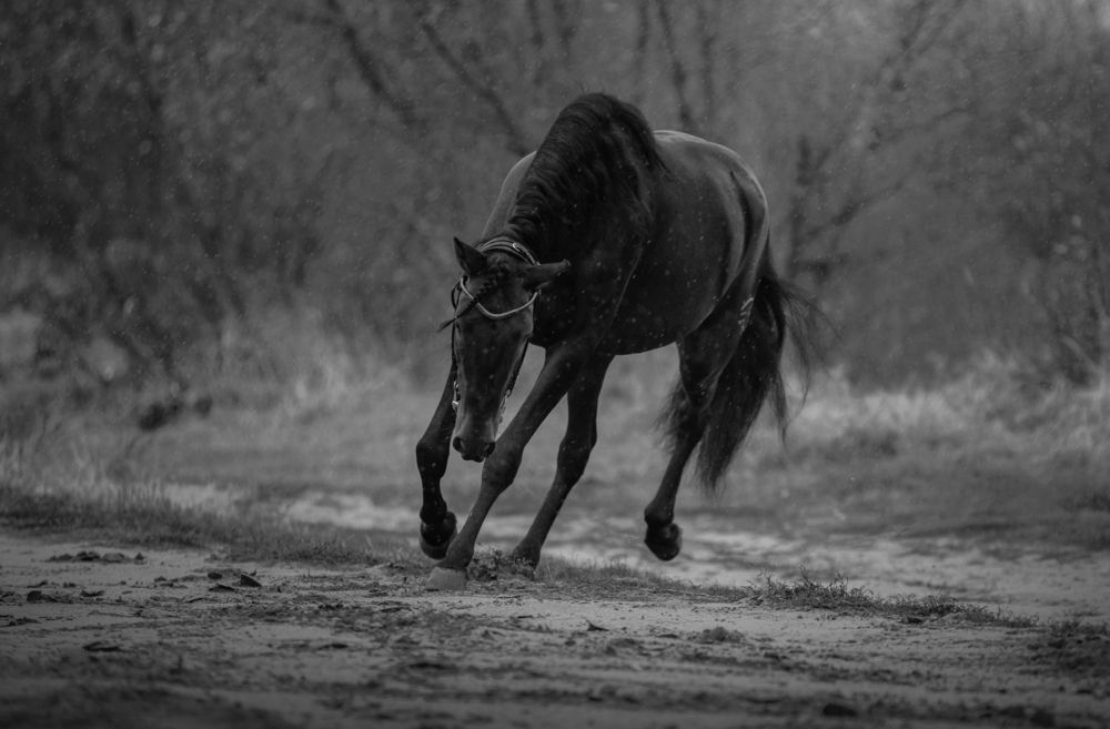 Photograph by Онучина Юлия