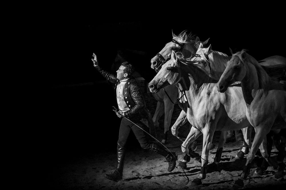 Photograph by Sara Veaux