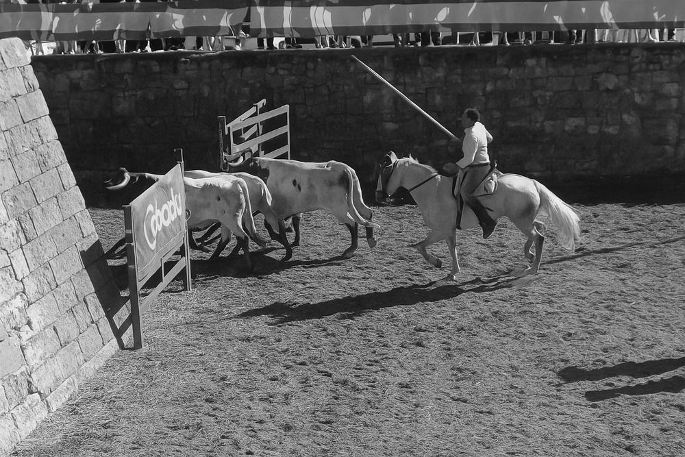 Photograph by Juan jose Sánchez gonzalez