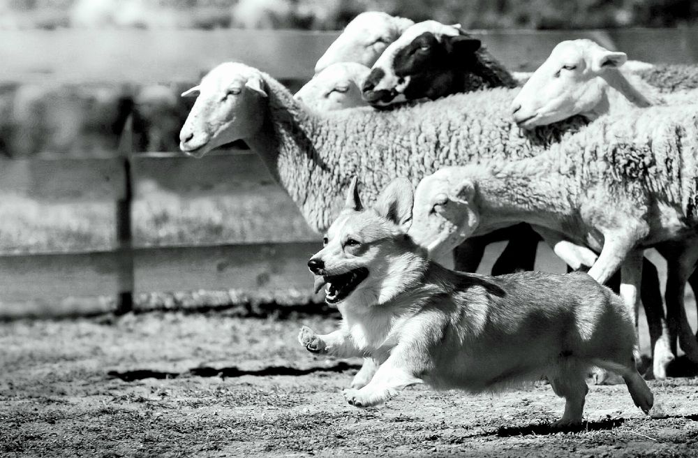 Photograph by Светлана Лукашкина