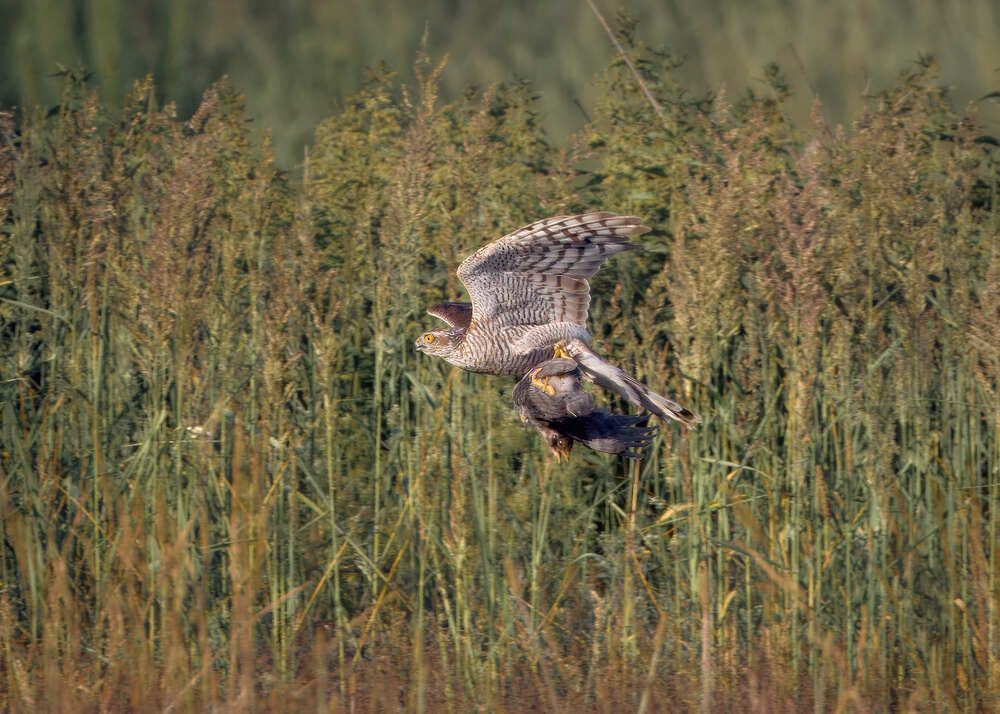 Photograph by Mikhail Khmelevskiy