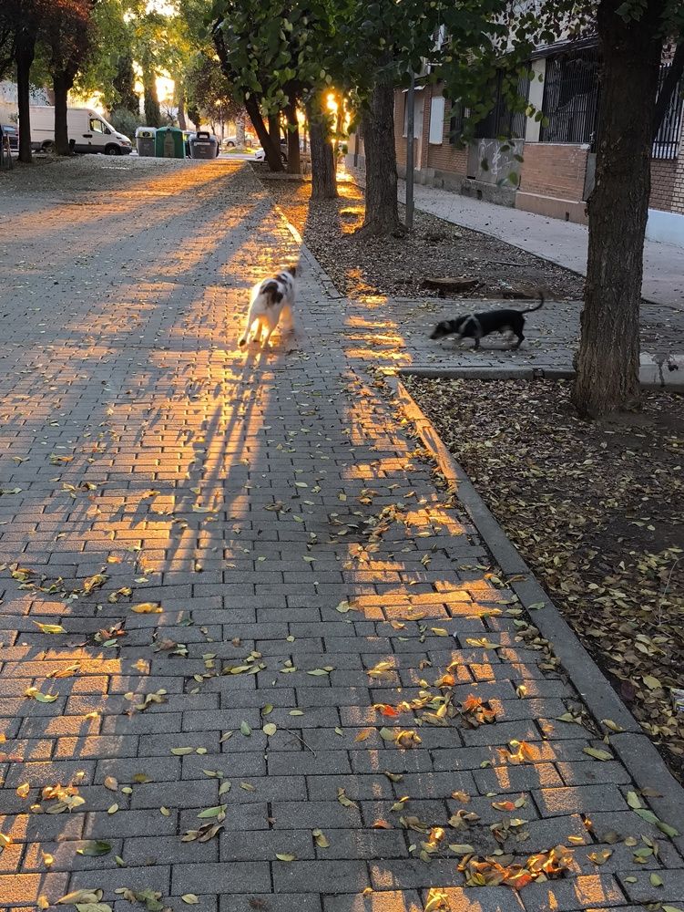 Photo #12813086