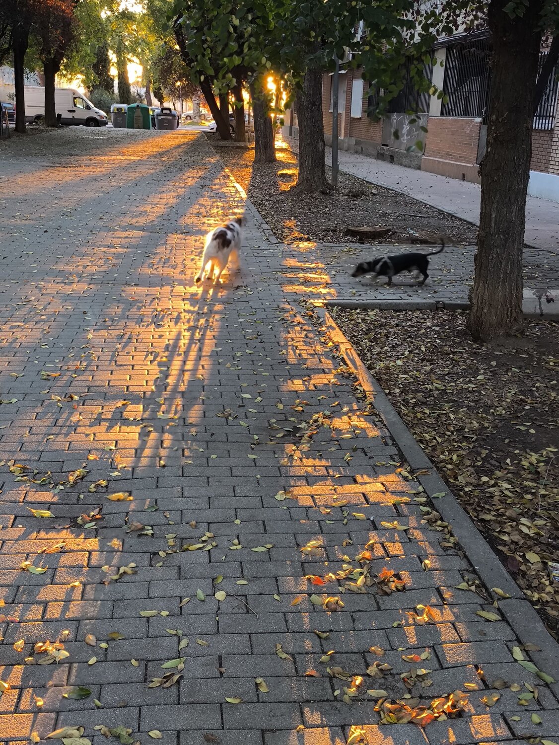 Photo #12813086