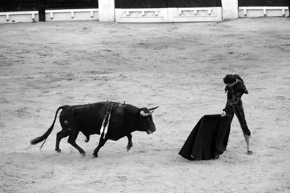 Photograph by Александр Журавлев