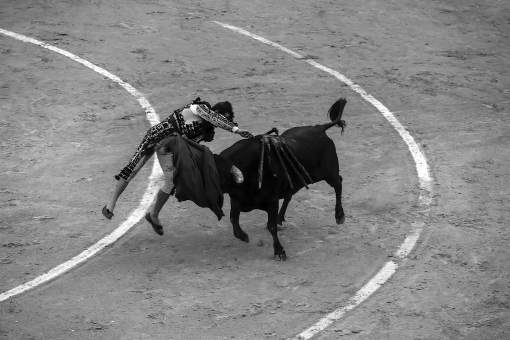 Photograph by Александр Журавлев