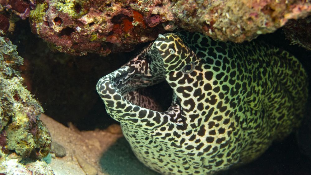 Photograph by Vladislav Klimin