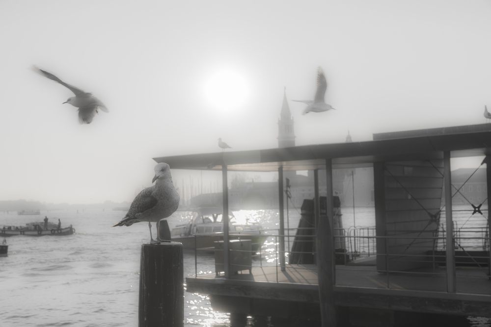 Photograph by Александр Журавлев