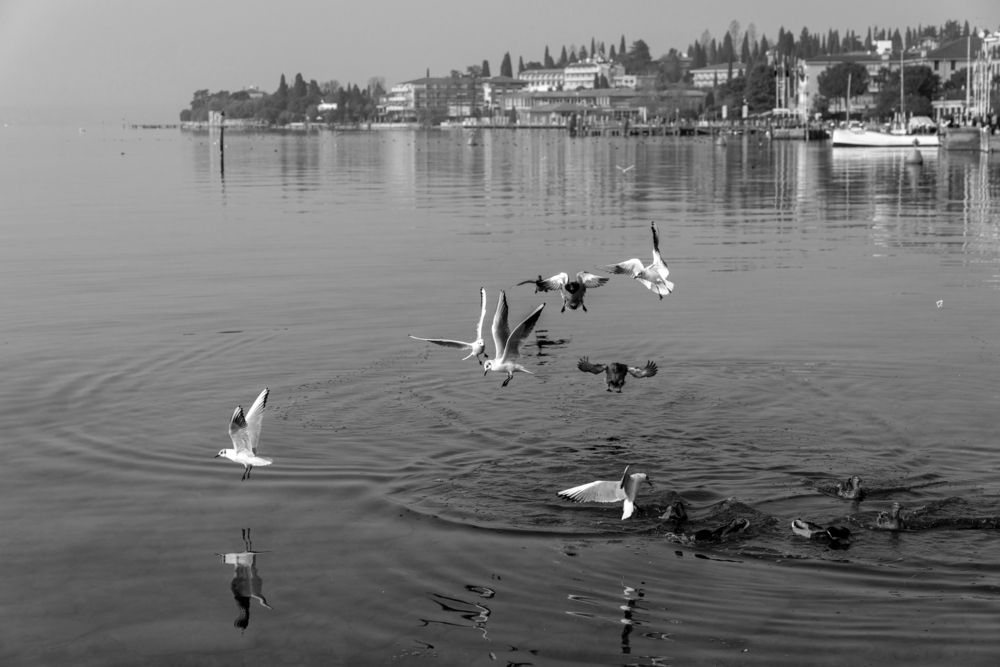 Photograph by Александр Журавлев