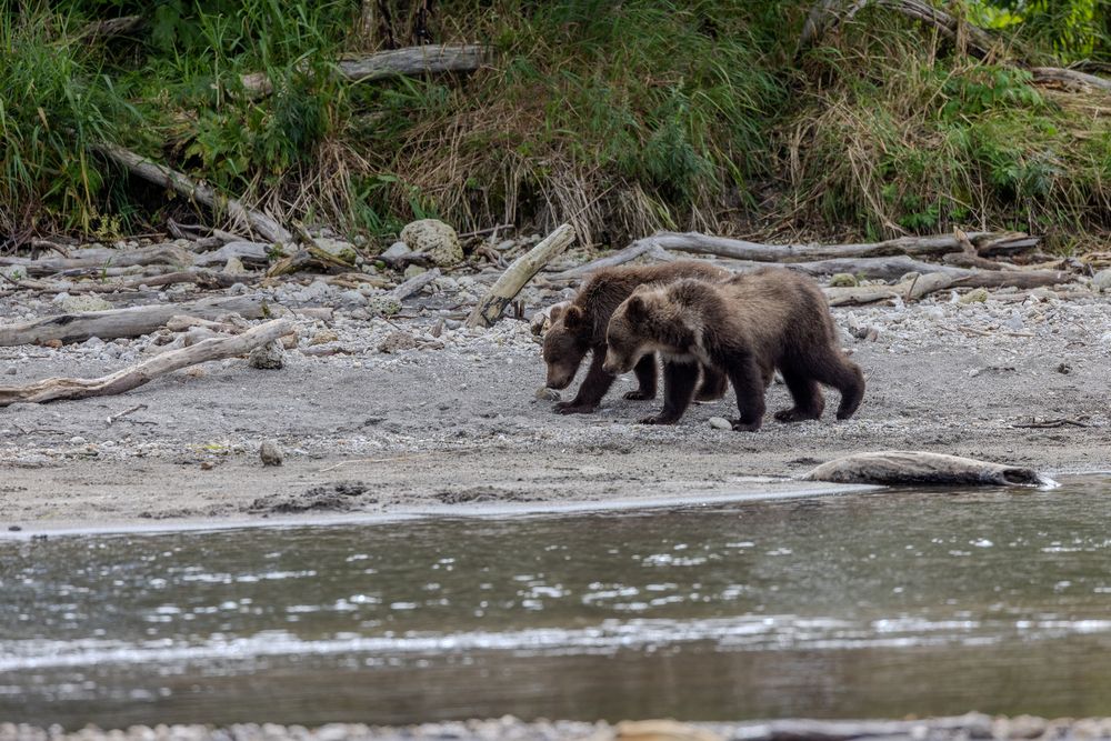 Photograph by Duc de Salier