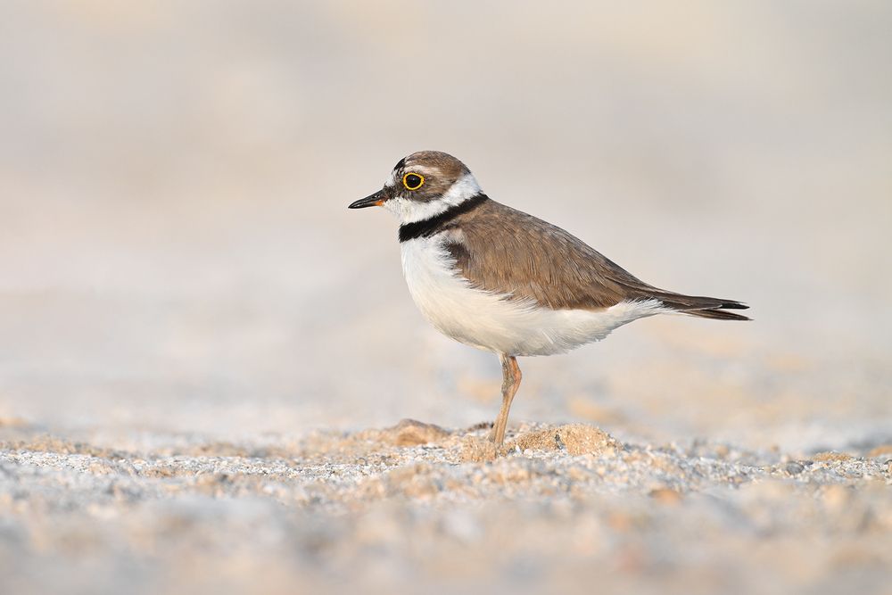 Photograph by Анатолий Садовский