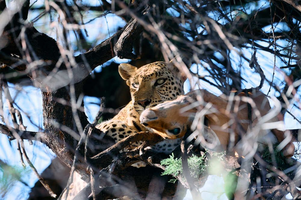 Photograph by Duc de Salier