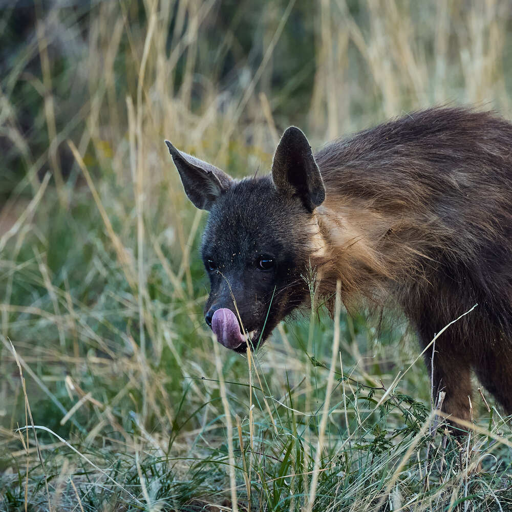 Photograph by Duc de Salier