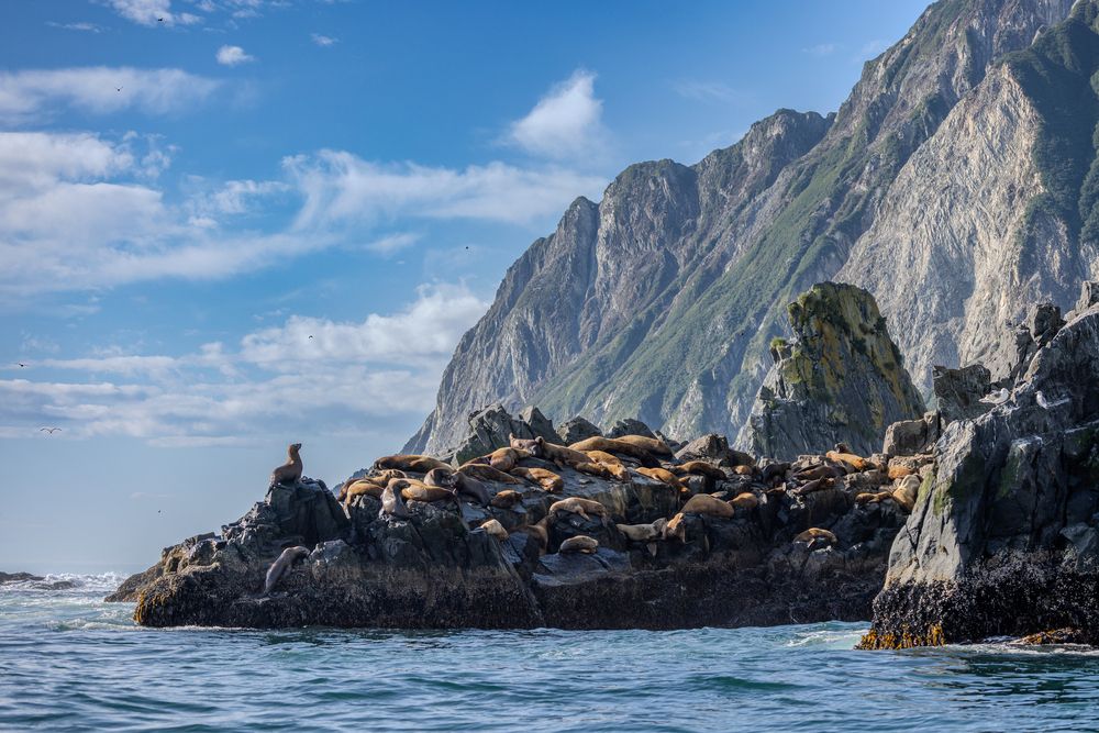 Photograph by Duc de Salier