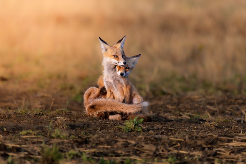 Photograph by Евгений Бочкарев