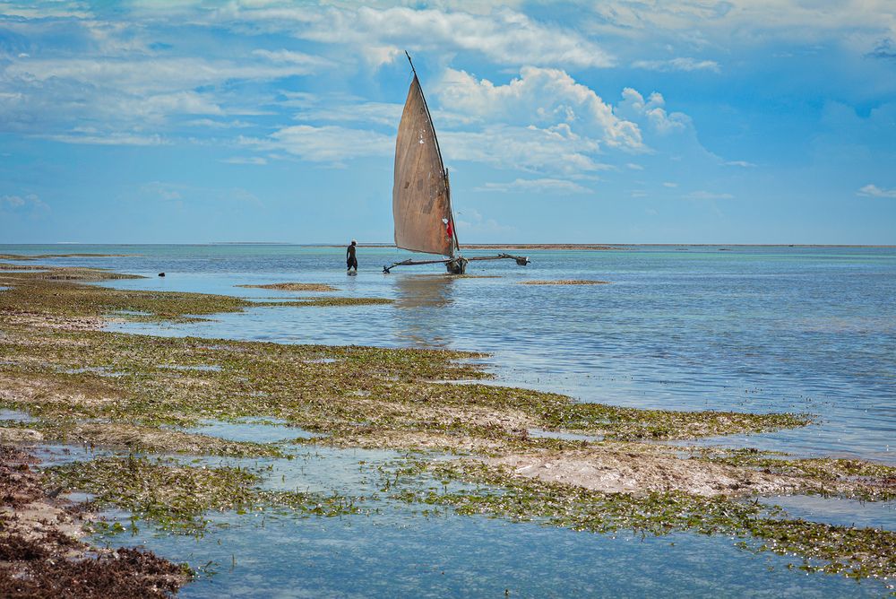 Photograph by Inna Ivanova