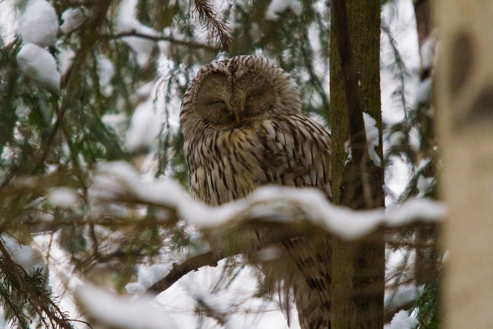 Photograph by Дмитрий Пасынков