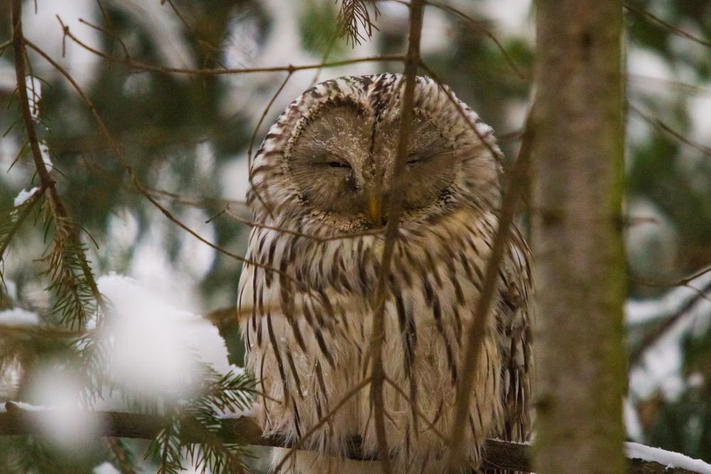 Photograph by Дмитрий Пасынков