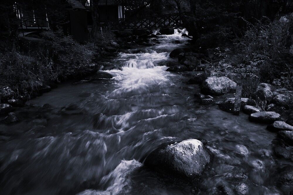 Photograph by Марина А-Б