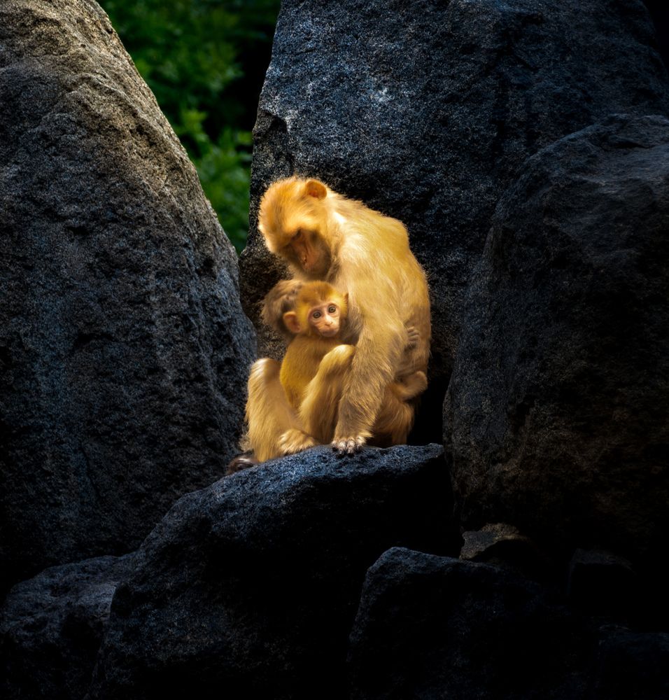 Photograph by lee pound