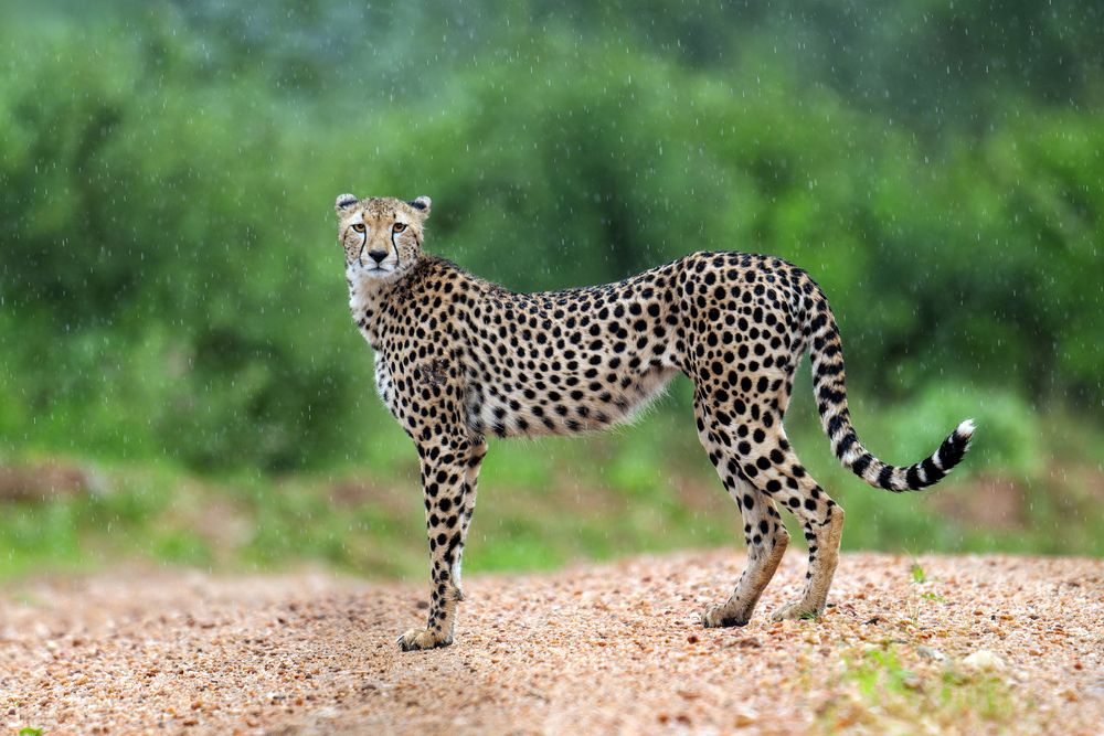 Photograph by Ruzhdi Ibrahimi