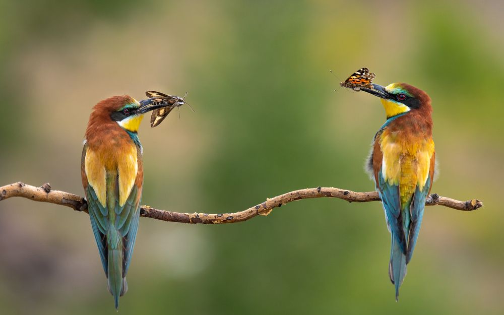 Photograph by Евгений Бочкарев