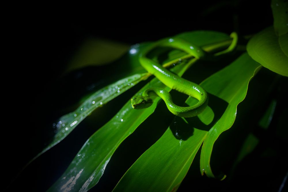 Photograph by Magdalena G