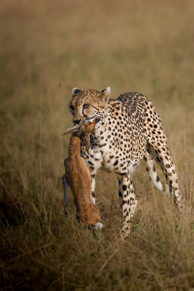 Photograph by RASHIN KARAYI