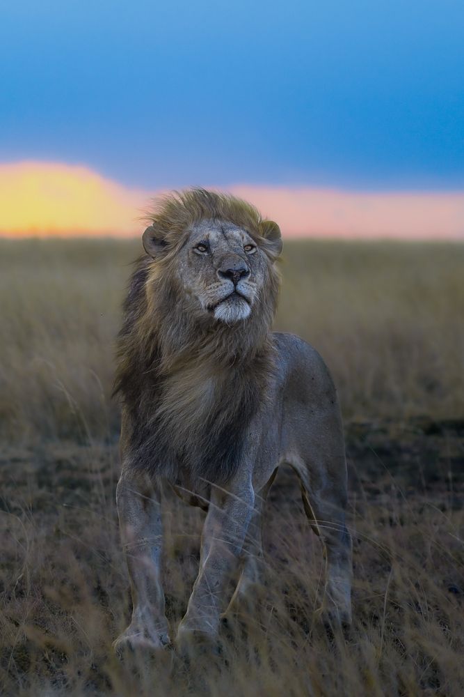 Photograph by RASHIN KARAYI