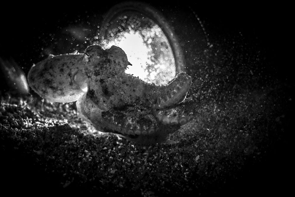 Photograph by Никита Костылёв