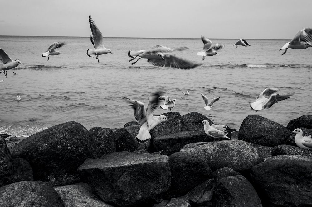 Photograph by Юлия Залалова
