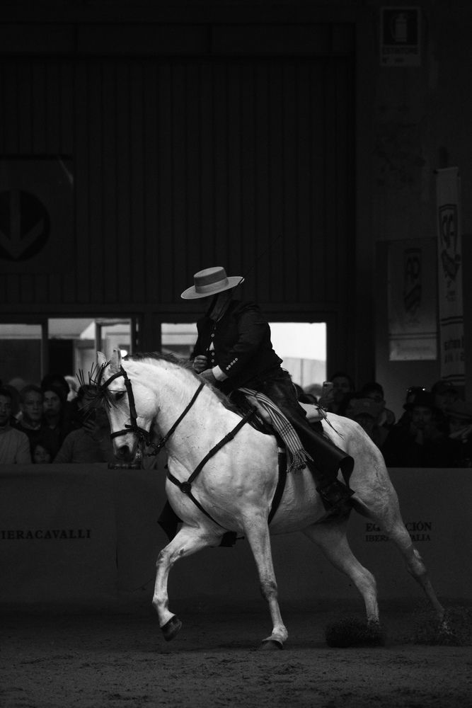 Photograph by Massimo Candeli