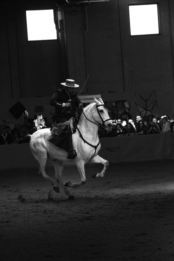 Photograph by Massimo Candeli